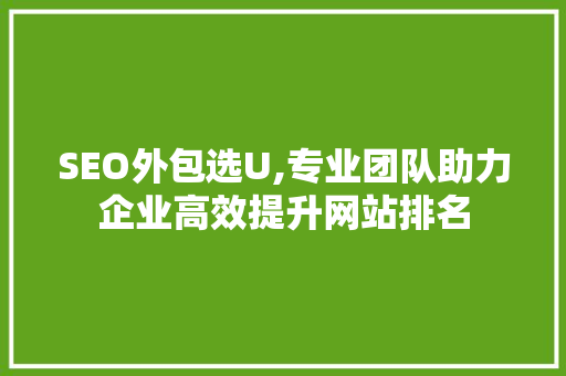 SEO外包选U,专业团队助力企业高效提升网站排名
