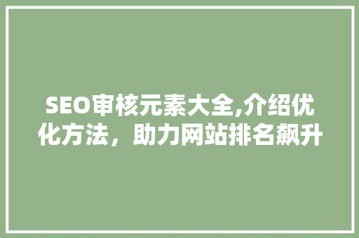 SEO审核元素大全,介绍优化方法，助力网站排名飙升