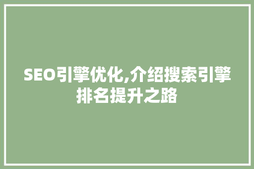 SEO引擎优化,介绍搜索引擎排名提升之路