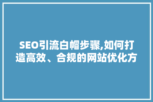 SEO引流白帽步骤,如何打造高效、合规的网站优化方法