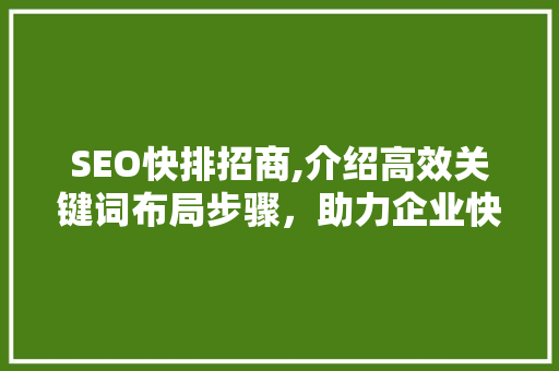 SEO快排招商,介绍高效关键词布局步骤，助力企业快速提升网站排名