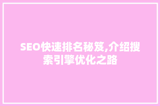 SEO快速排名秘笈,介绍搜索引擎优化之路