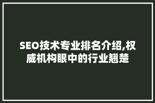 SEO技术专业排名介绍,权威机构眼中的行业翘楚