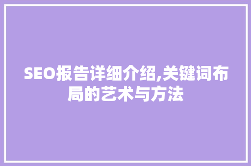 SEO报告详细介绍,关键词布局的艺术与方法