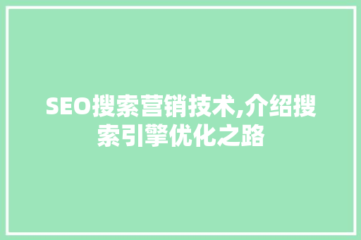 SEO搜索营销技术,介绍搜索引擎优化之路