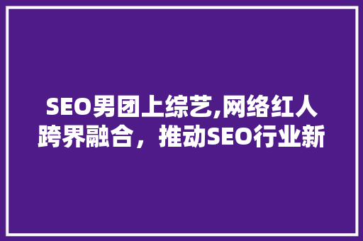 SEO男团上综艺,网络红人跨界融合，推动SEO行业新风尚