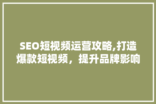 SEO短视频运营攻略,打造爆款短视频，提升品牌影响力