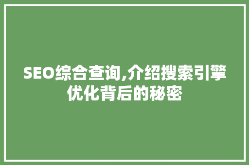 SEO综合查询,介绍搜索引擎优化背后的秘密