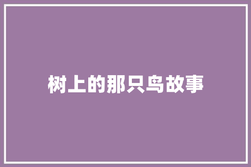 详细介绍汝阳SEO培训,助力企业网络营销的强力武器
