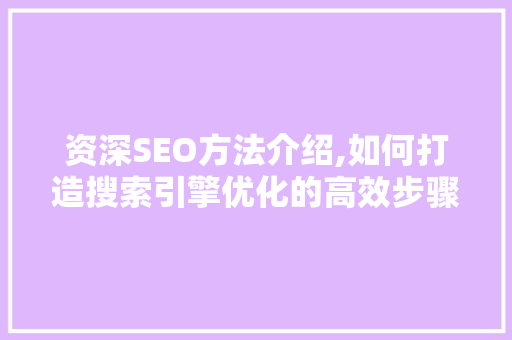 资深SEO方法介绍,如何打造搜索引擎优化的高效步骤