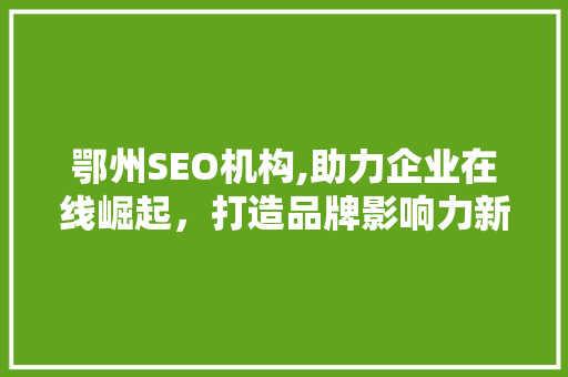 鄂州SEO机构,助力企业在线崛起，打造品牌影响力新高峰