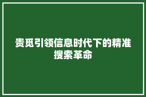 贵觅引领信息时代下的精准搜索革命