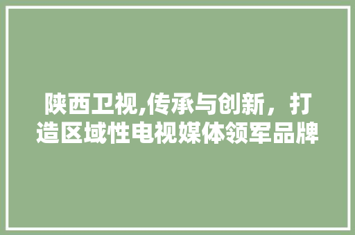 陕西卫视,传承与创新，打造区域性电视媒体领军品牌