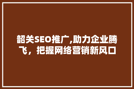 韶关SEO推广,助力企业腾飞，把握网络营销新风口