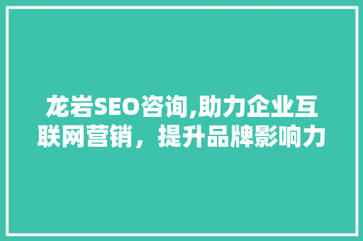 龙岩SEO咨询,助力企业互联网营销，提升品牌影响力