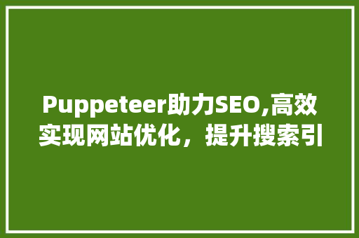 Puppeteer助力SEO,高效实现网站优化，提升搜索引擎排名