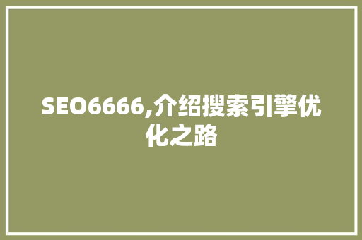 SEO6666,介绍搜索引擎优化之路
