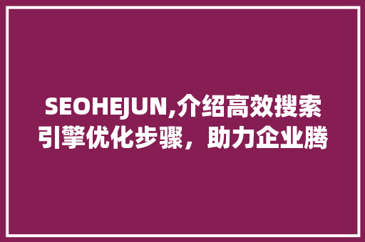SEOHEJUN,介绍高效搜索引擎优化步骤，助力企业腾飞