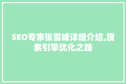 SEO专家张雪峰详细介绍,搜索引擎优化之路