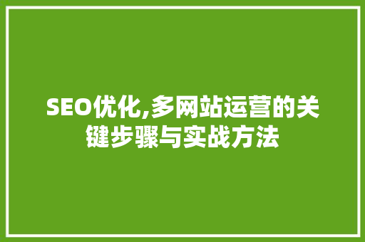 SEO优化,多网站运营的关键步骤与实战方法