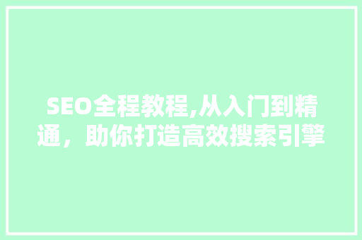 SEO全程教程,从入门到精通，助你打造高效搜索引擎优化步骤