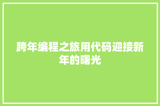 跨年编程之旅用代码迎接新年的曙光