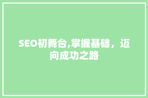 SEO初舞台,掌握基础，迈向成功之路