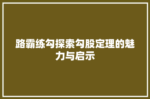路霸练勾探索勾股定理的魅力与启示