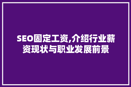 SEO固定工资,介绍行业薪资现状与职业发展前景