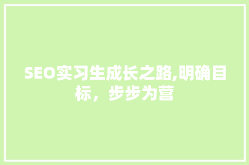 SEO实习生成长之路,明确目标，步步为营