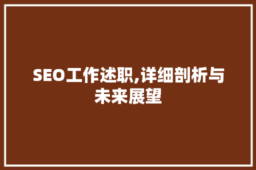 SEO工作述职,详细剖析与未来展望