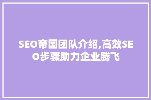 SEO帝国团队介绍,高效SEO步骤助力企业腾飞