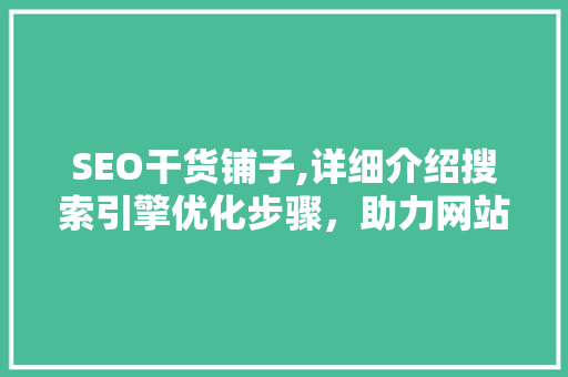 SEO干货铺子,详细介绍搜索引擎优化步骤，助力网站排名提升