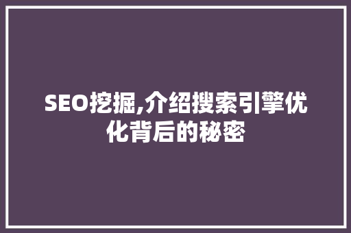 SEO挖掘,介绍搜索引擎优化背后的秘密