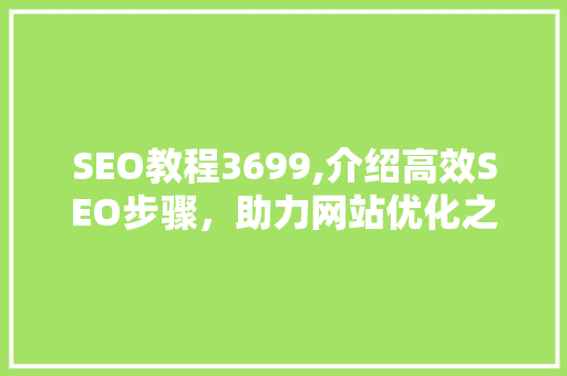 SEO教程3699,介绍高效SEO步骤，助力网站优化之路