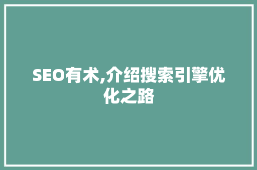 SEO有术,介绍搜索引擎优化之路