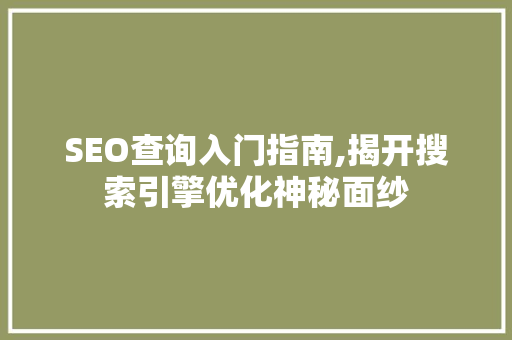 SEO查询入门指南,揭开搜索引擎优化神秘面纱