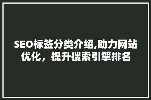 SEO标签分类介绍,助力网站优化，提升搜索引擎排名