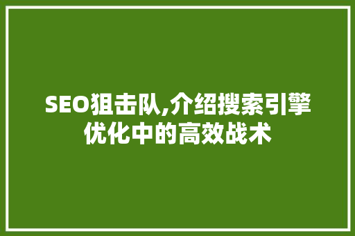 SEO狙击队,介绍搜索引擎优化中的高效战术