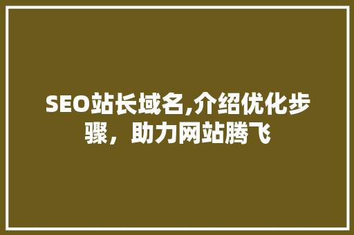 SEO站长域名,介绍优化步骤，助力网站腾飞