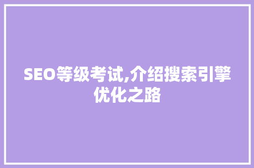 SEO等级考试,介绍搜索引擎优化之路