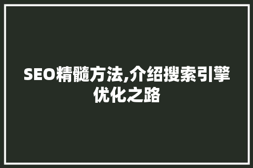 SEO精髓方法,介绍搜索引擎优化之路