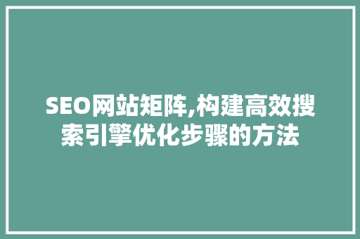 SEO网站矩阵,构建高效搜索引擎优化步骤的方法