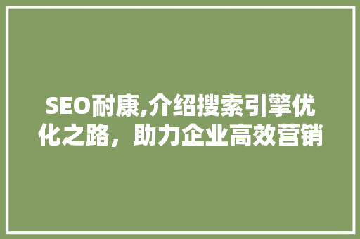 SEO耐康,介绍搜索引擎优化之路，助力企业高效营销