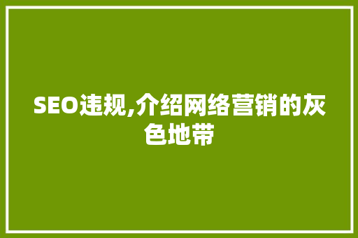 SEO违规,介绍网络营销的灰色地带