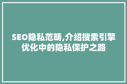 SEO隐私范畴,介绍搜索引擎优化中的隐私保护之路