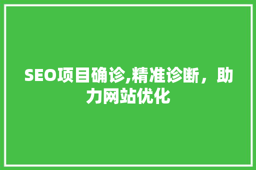 SEO项目确诊,精准诊断，助力网站优化