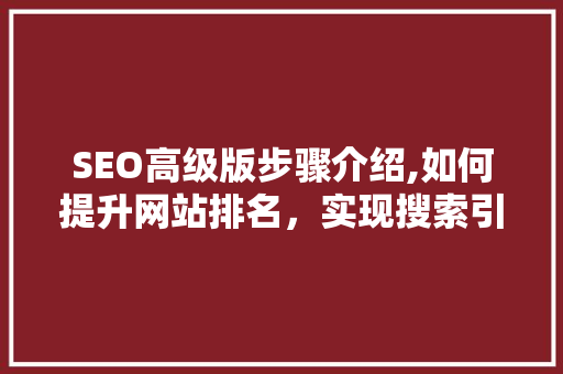 SEO高级版步骤介绍,如何提升网站排名，实现搜索引擎优化