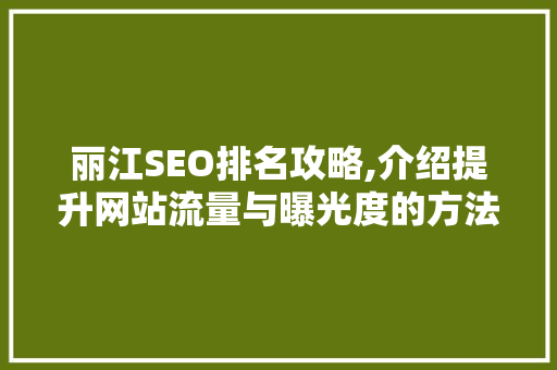丽江SEO排名攻略,介绍提升网站流量与曝光度的方法
