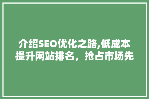 介绍SEO优化之路,低成本提升网站排名，抢占市场先机